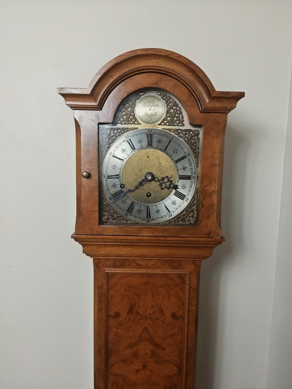 A freestanding burr walnut grandmother clock featuring an arched hood, brass dial with Roman numerals, and a figure-matched veneered trunk. View II