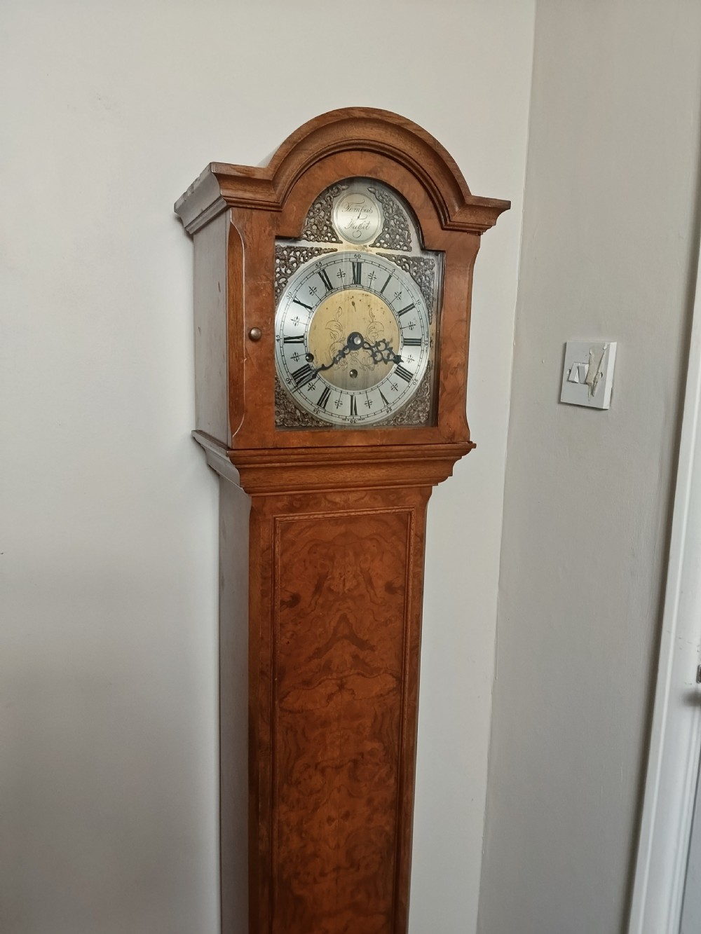 A freestanding burr walnut grandmother clock featuring an arched hood, brass dial with Roman numerals, and a figure-matched veneered trunk. View III