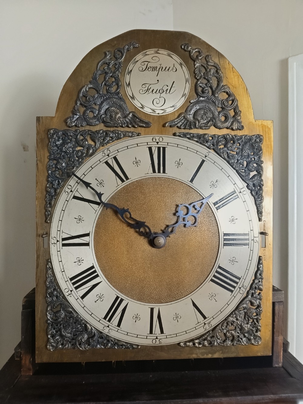 A tall dark oak longcase clock featuring an arched bonnet, barley twist side columns, a brass dial with Roman numerals, and a glazed trunk door displaying three brass weights and pendulum. View VIII