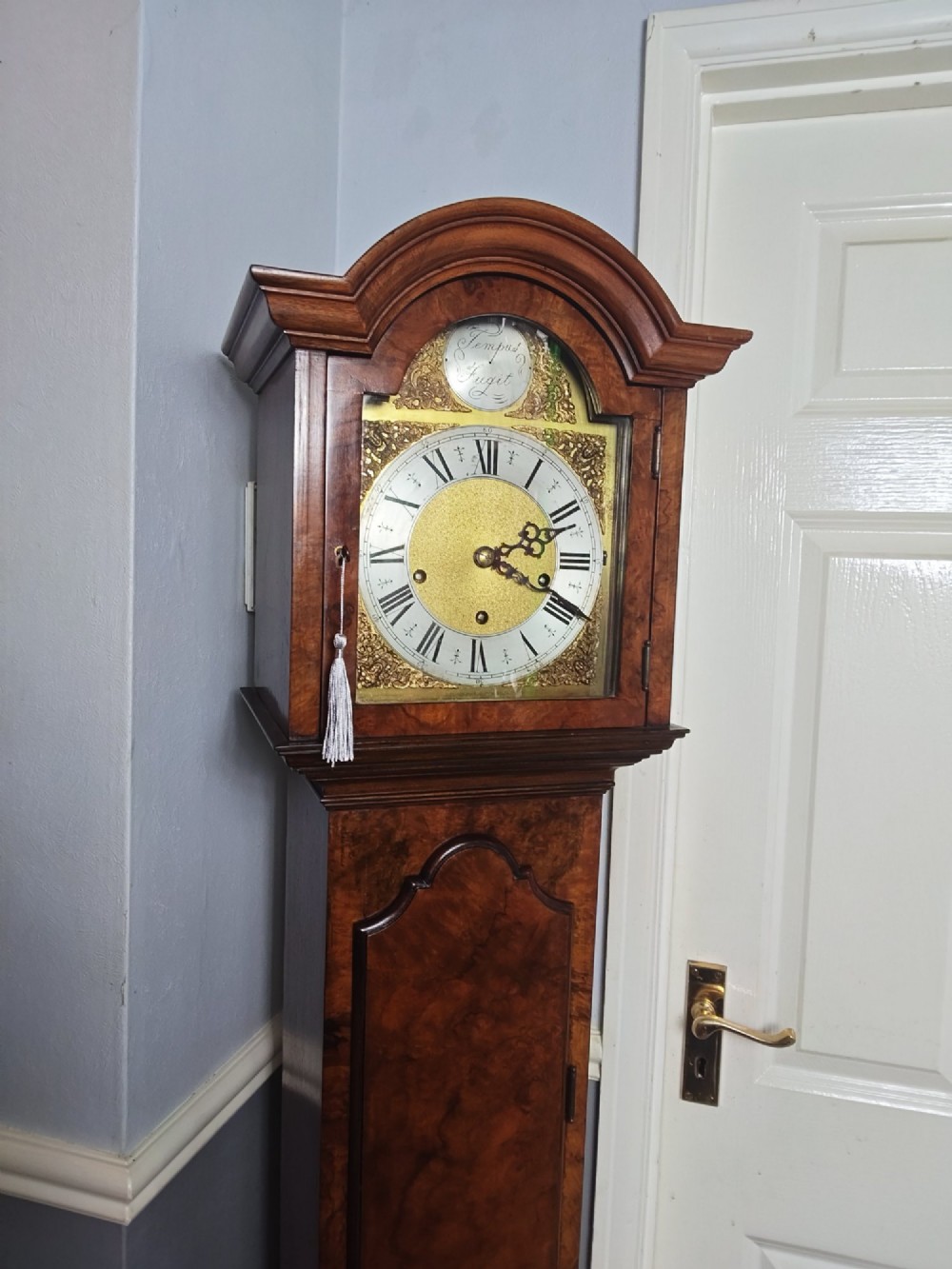 A tall slim figured walnut grandmother longcase clock featuring an arched hood, brass and silvered dial, and a polished wood trunk. View III