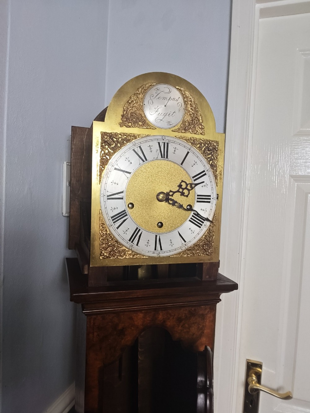 A tall slim figured walnut grandmother longcase clock featuring an arched hood, brass and silvered dial, and a polished wood trunk. View VI