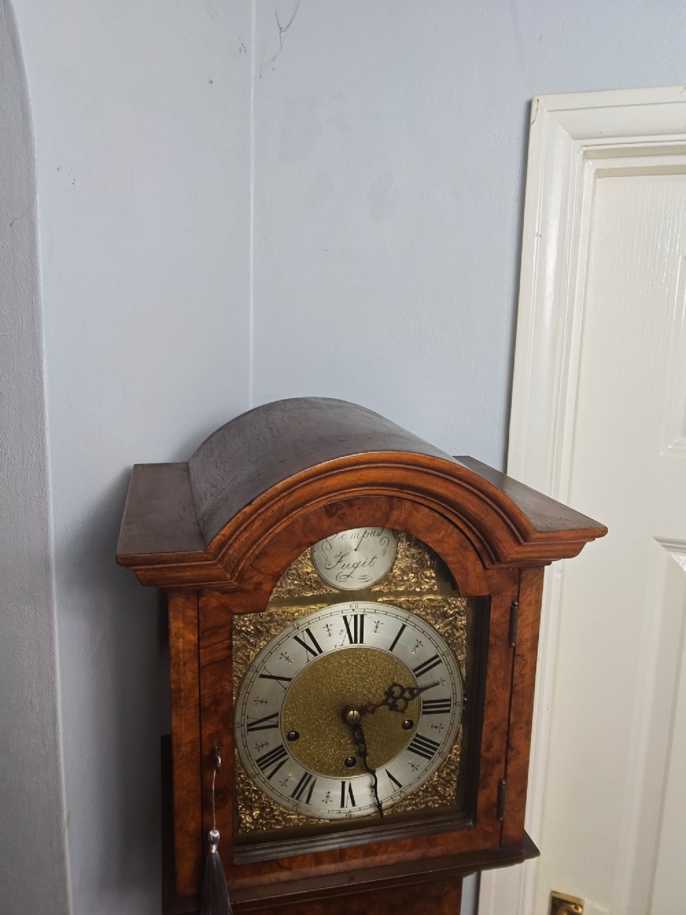 A tall slim figured walnut grandmother longcase clock featuring an arched hood, brass and silvered dial, and a polished wood trunk. View XII