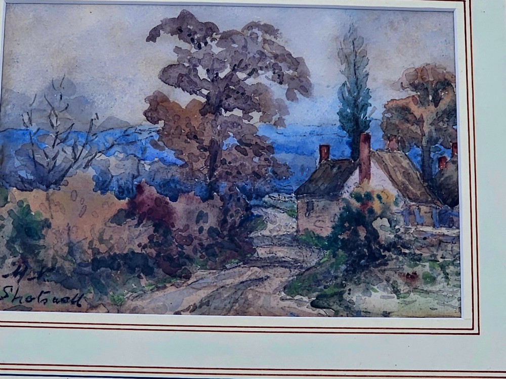 Alternate View