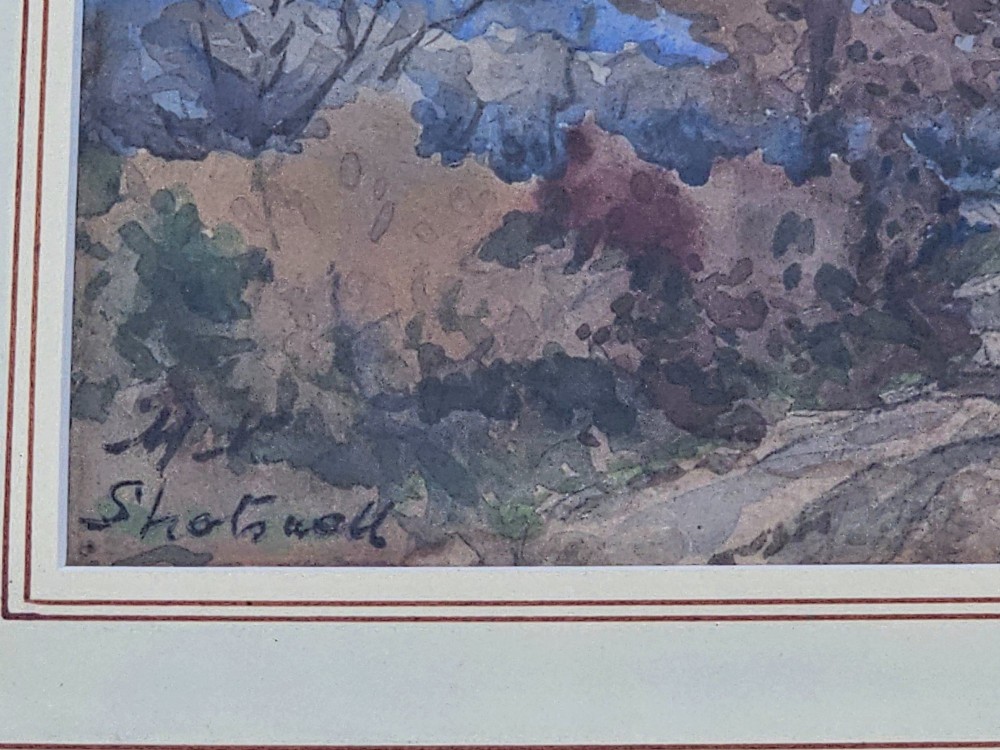 Detail View