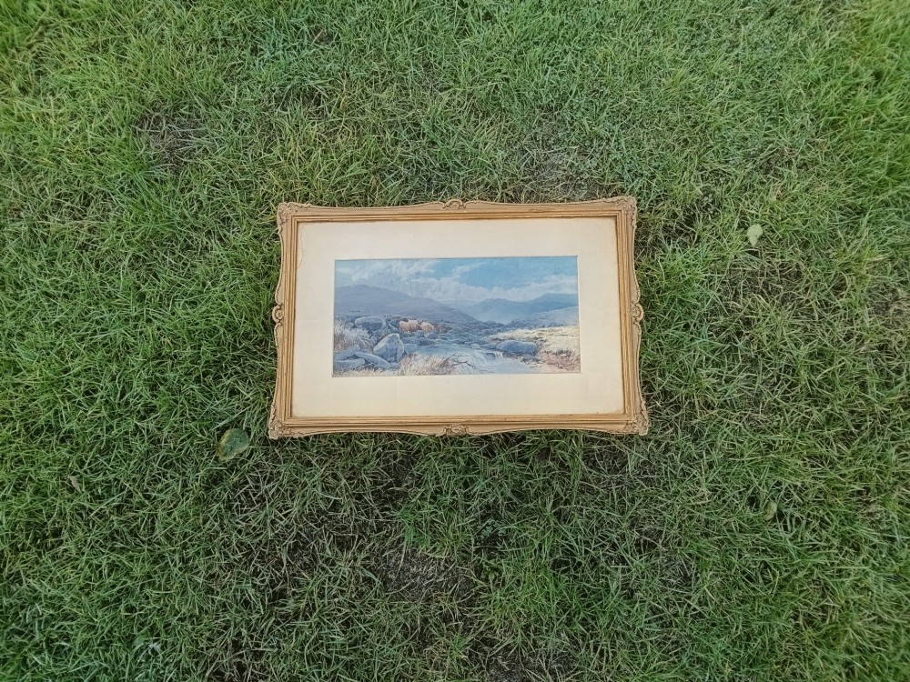 A framed Victorian watercolour painting by Tom Rowden depicting cattle standing near a stream in a vast moorland landscape.