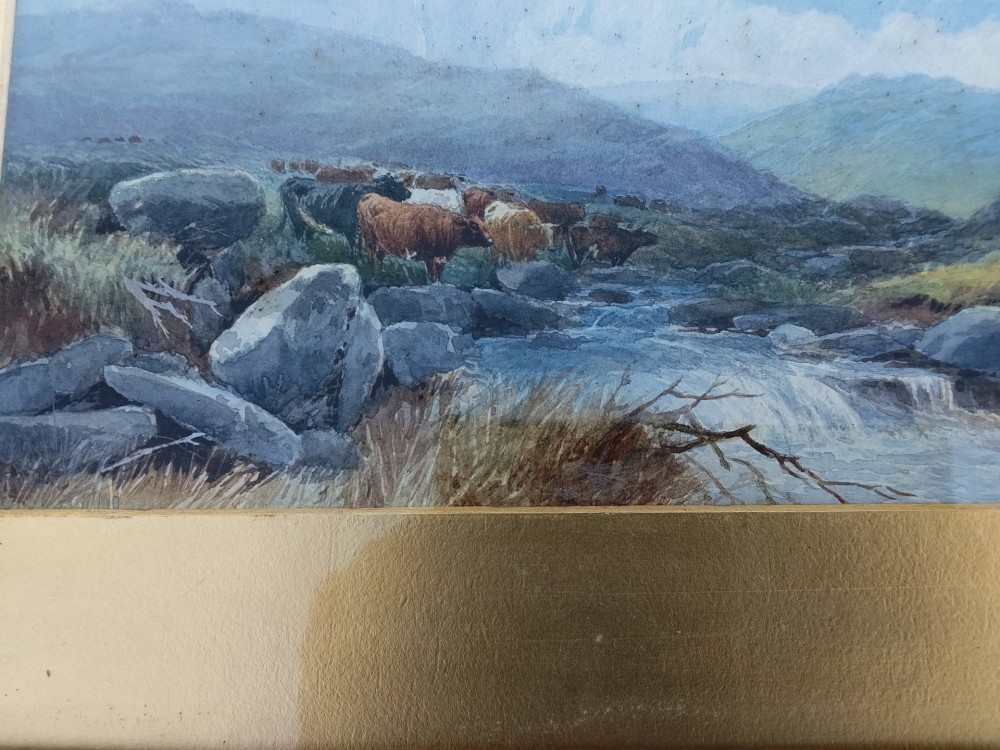A framed Victorian watercolour painting by Tom Rowden depicting cattle standing near a stream in a vast moorland landscape. View VII