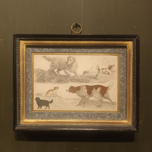 19TH CENTURY FRAMED DOG ENGRAVING PICTURES - ADDITIONAL PHOTO 2