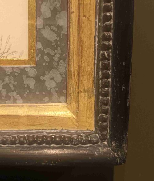 19TH CENTURY FRAMED SWAN ENGRAVING - ADDITIONAL PHOTO 5