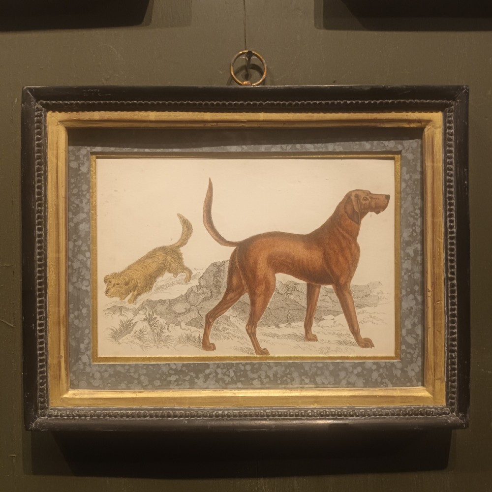 A set of three 19th-century dog engravings in ebonised frames with gilt inner borders and top hanging rings. View IV