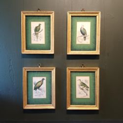 A SET OF FOUR 19TH CENTURY FRAMED BIRD ENGRAVINGS BY EDWARD LEAR