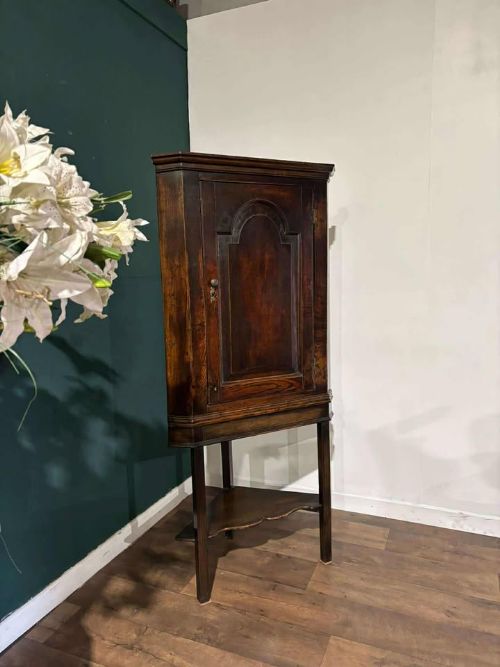 fig 1. An 18th-century dark oak corner cabinet featuring an arched fielded panel door, raised on a tall wooden stand with a lower shaped shelf.