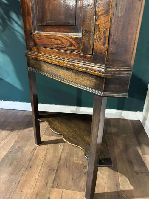 fig 5. An 18th-century dark oak corner cabinet featuring an arched fielded panel door, raised on a tall wooden stand with a lower shaped shelf.