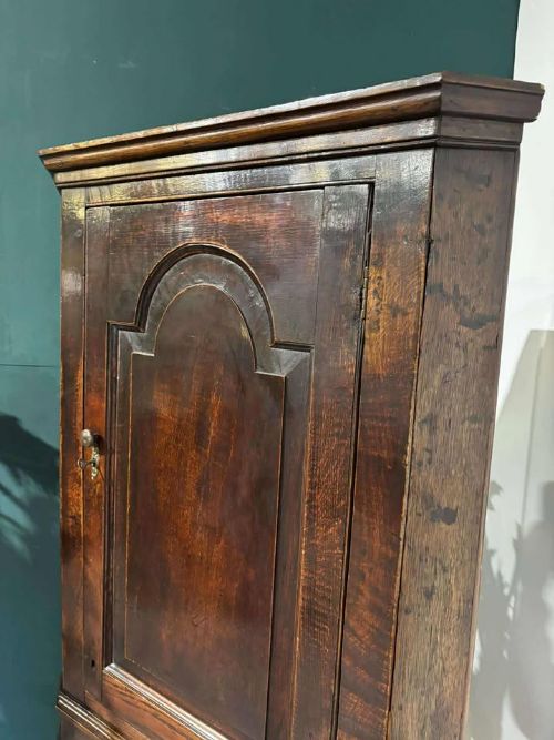 fig 7. An 18th-century dark oak corner cabinet featuring an arched fielded panel door, raised on a tall wooden stand with a lower shaped shelf.