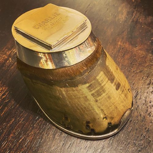 Victorian Silver Plate Horse Hoof  Table Snuff Box