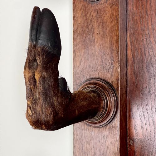 ANTIQUE CONTINENTAL OAK TAXIDERMY GUN OR COAT RACK - ADDITIONAL PHOTO 5