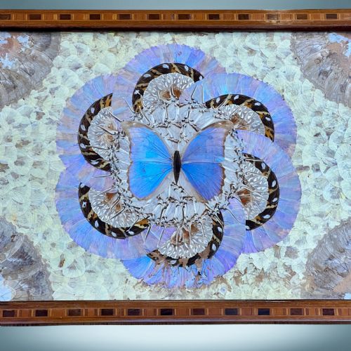 fig 1. Antique Butterfly Tray