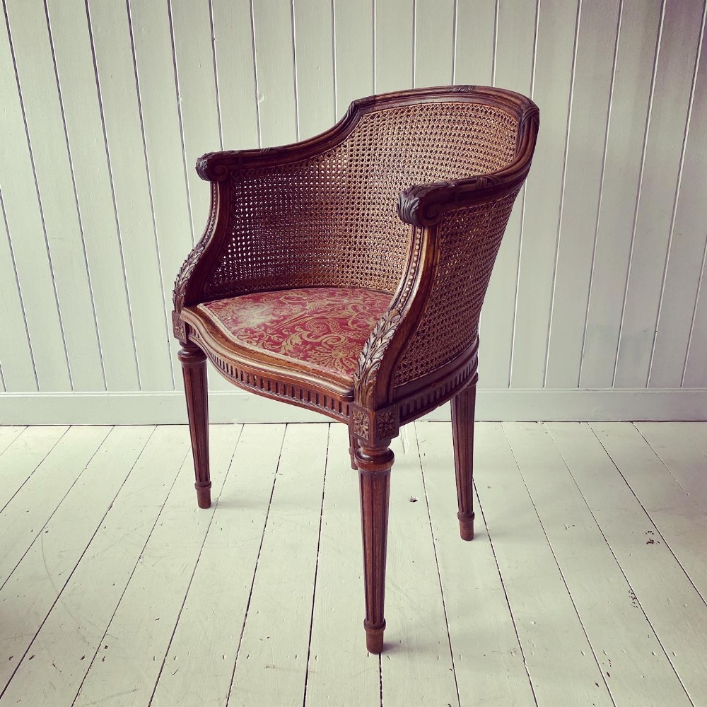 A Double Caned Tub Chair