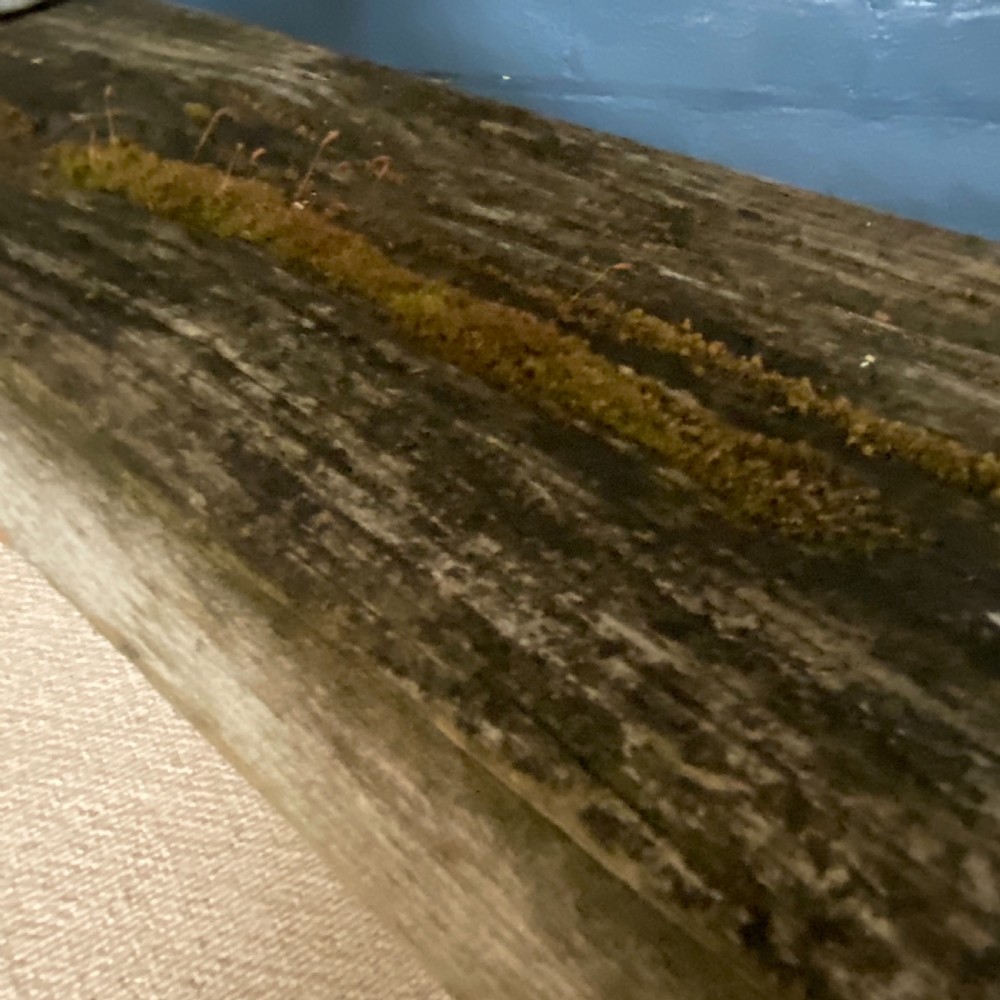 Vintage Cast Iron Garden Bench View VI