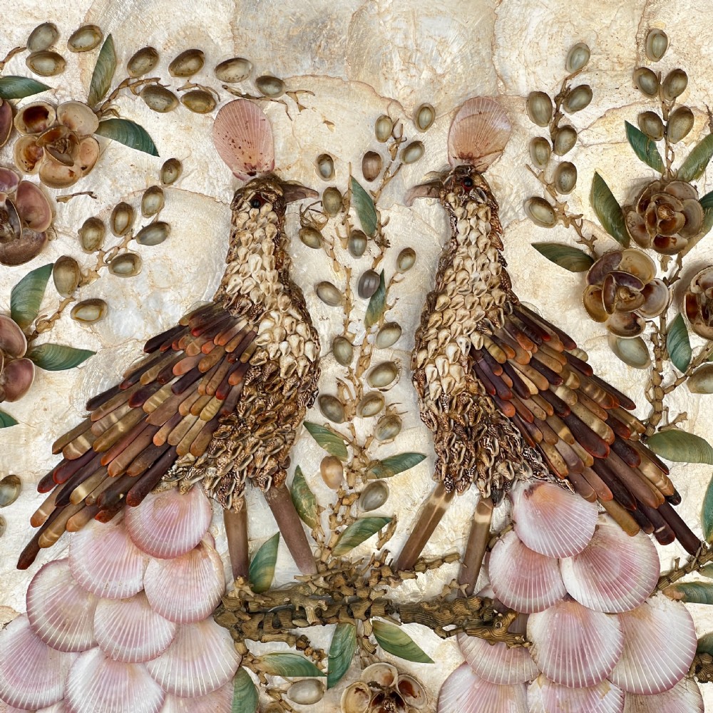 Vintage Peacock Shell Diorama View III