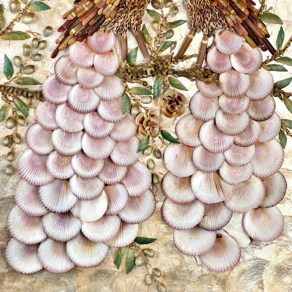 Vintage Peacock Shell Diorama View V