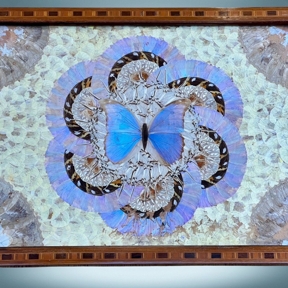 Antique Butterfly Tray View II