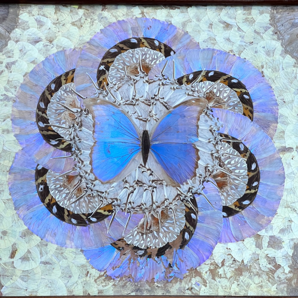 Antique Butterfly Tray View V