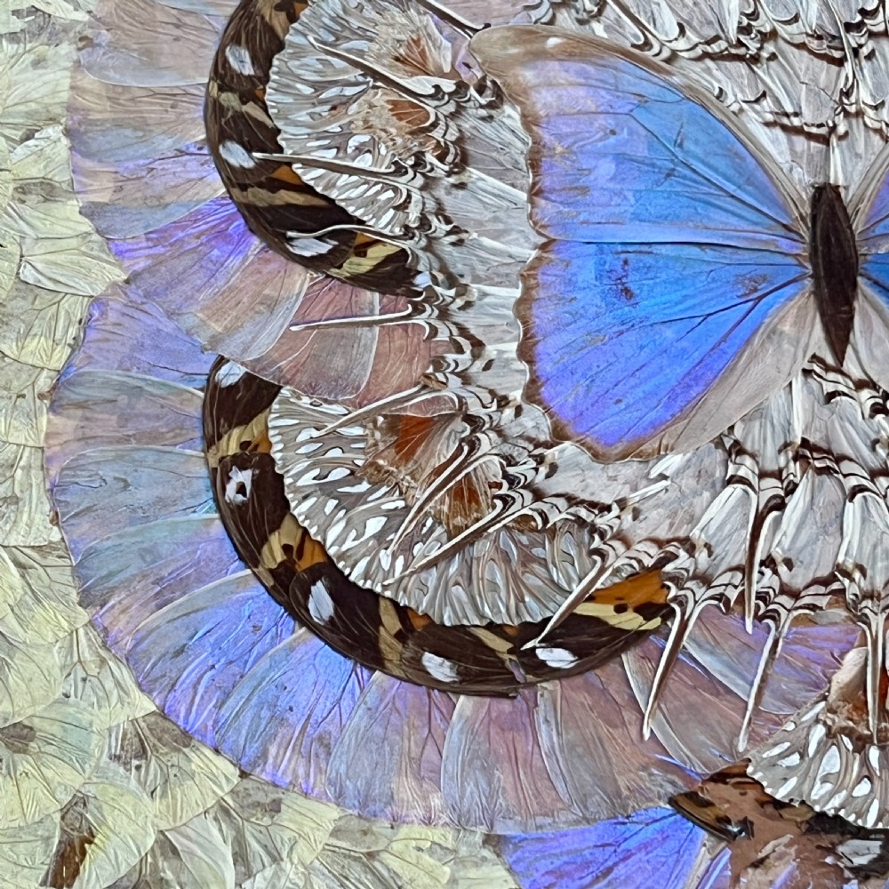 Antique Butterfly Tray View VII