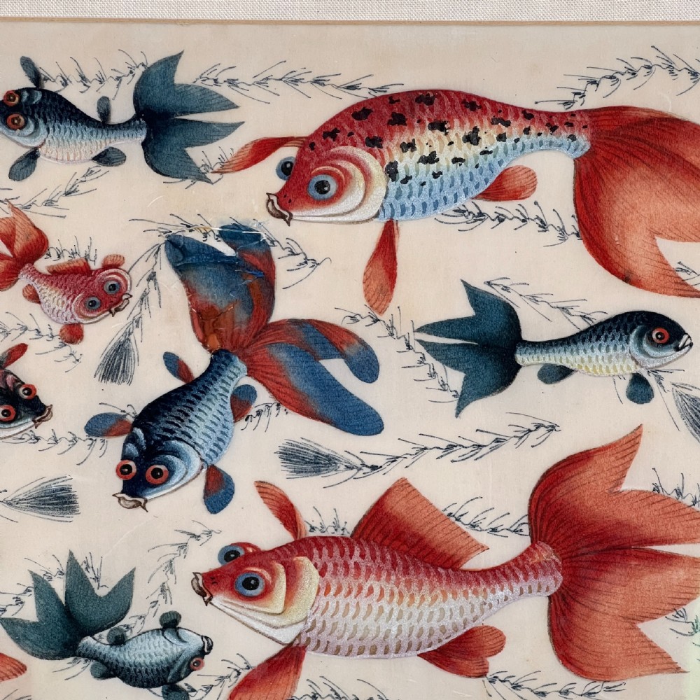 A late 19th-century Chinese gouache painting on pith paper depicting red and blue goldfish swimming among aquatic foliage, presented in a bamboo-style frame with a light mount. View IV