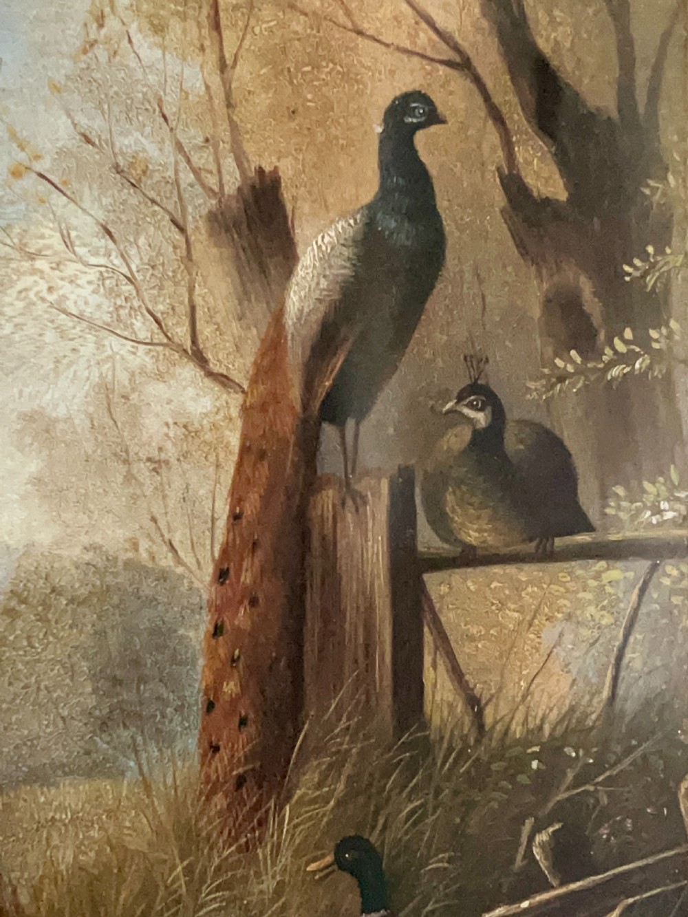19Th Century Naïve Folk Art Oil Painting Of Birds By The Water’S Edge View V