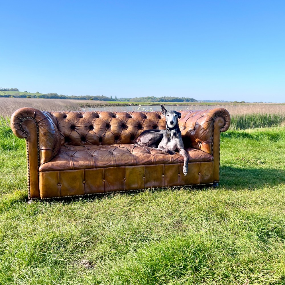 Antique Chesterfield Sofa 2 Seater Brown Leather Button Tufted Classic View III
