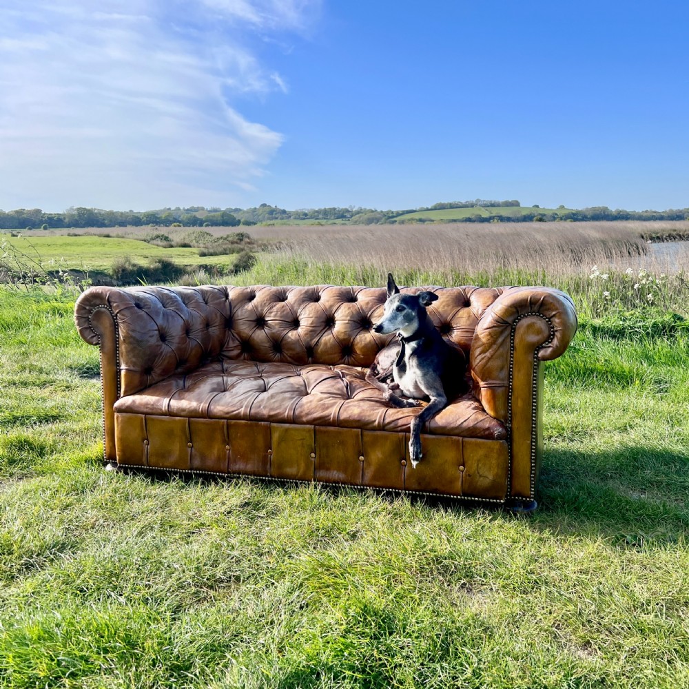 Antique Chesterfield Sofa 2 Seater Brown Leather Button Tufted Classic View IV