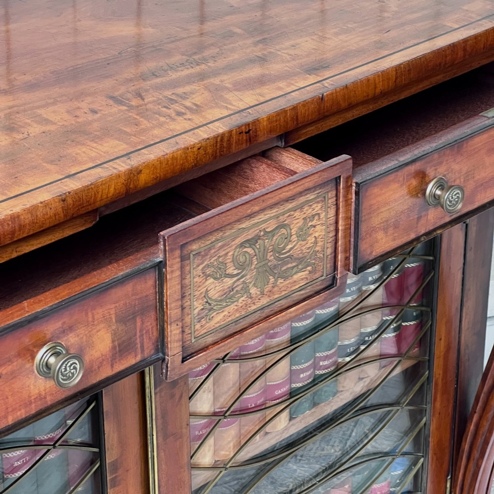 A Regency mahogany low chiffonier bookcase featuring brass wire grille doors, carved scroll supports terminating in paw feet, and brass inlay. View VII