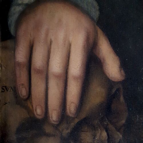 PORTRAIT OF A GENTLEMAN ENGLAND C1550 OIL ON PANEL - ADDITIONAL PHOTO 6