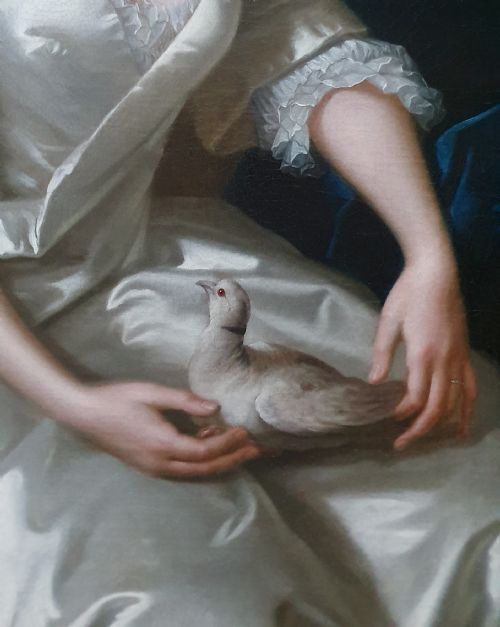 DATED 1736 PORTRAIT OF A LADY WITH DOVE SIGNED BY WILLEM VERELST C17041752 - ADDITIONAL PHOTO 5