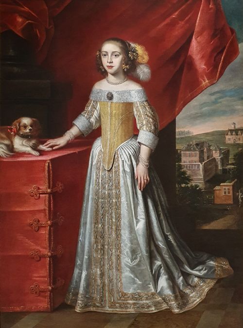 PORTRAIT OF A YOUNG LADY IN AN INTERIOR WITH A PET DOG C165060 CIRCLE OF JAN WEESOP FL 16401653 - ADDITIONAL PHOTO 1
