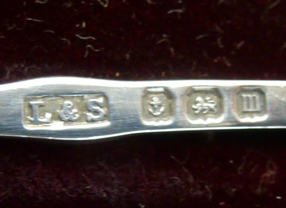 Cased Set of Six Sterling Silver Souvenir Spoons View XV