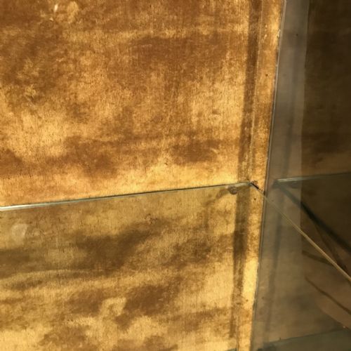 FRENCH KINGWOOD AND BRASS DISPLAY CABINET VITRINE - ADDITIONAL PHOTO 4