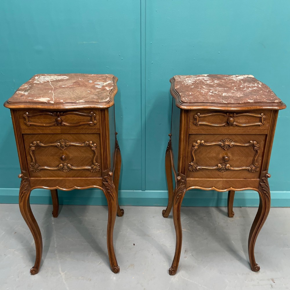 Pair of 19th century bedside cabinets View II