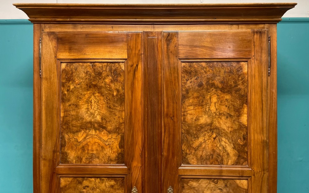 French 19th century burr walnut armoire  View III