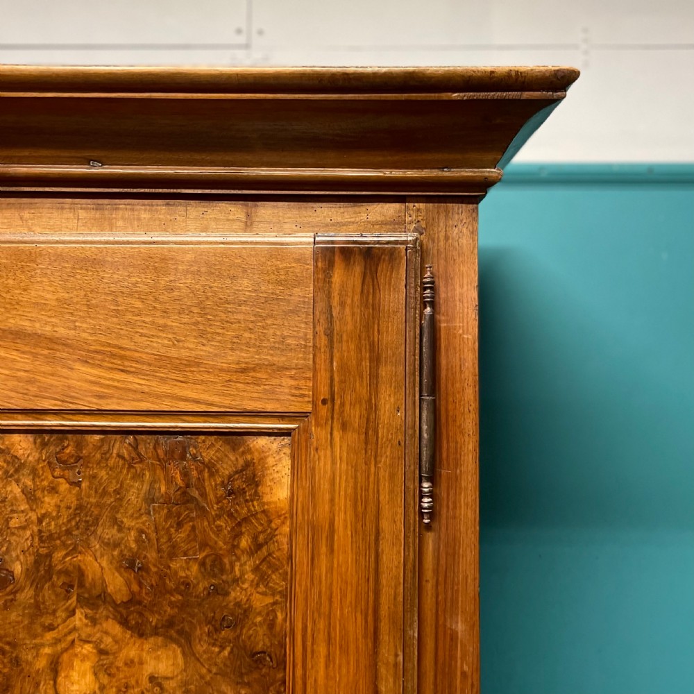 French 19th century burr walnut armoire  View V
