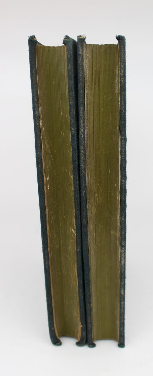 PAIR OF ANTIQUE LEATHERBOUND BOOKS THE CASQUET OF LITERATURE VOLUMES II VI - ADDITIONAL PHOTO 3