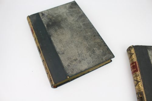 PAIR OF ANTIQUE LEATHERBOUND BOOKS THE CASQUET OF LITERATURE VOLUMES II VI - ADDITIONAL PHOTO 4