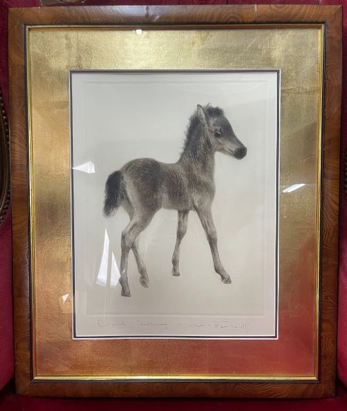 Original Drypoint of a Foal by Kurt Meyer-Eberhardt (1895–1977)