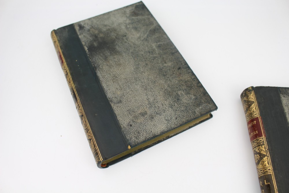 Pair of Antique Leather-Bound Books – The Casquet of Literature, Volumes II & VI View V