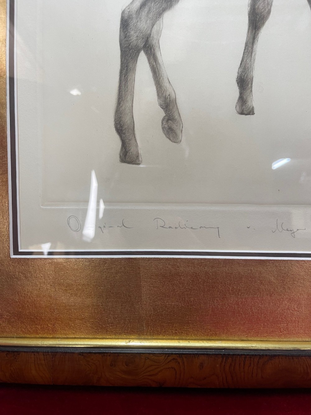 A monochrome drypoint etching of a standing foal, framed in polished wood with a gold leaf mount. View III