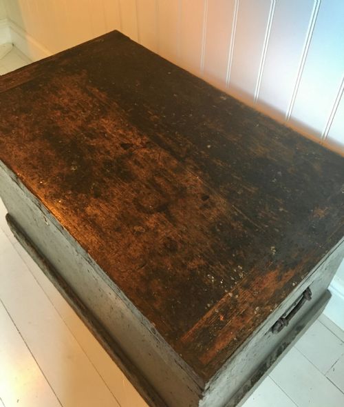 PAINTED PINE TRUNK - ADDITIONAL PHOTO 5