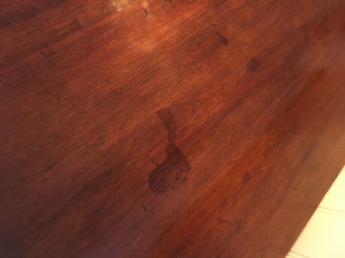 REGENCY MAHOGANY CHEST OF DRAWERS - ADDITIONAL PHOTO 7