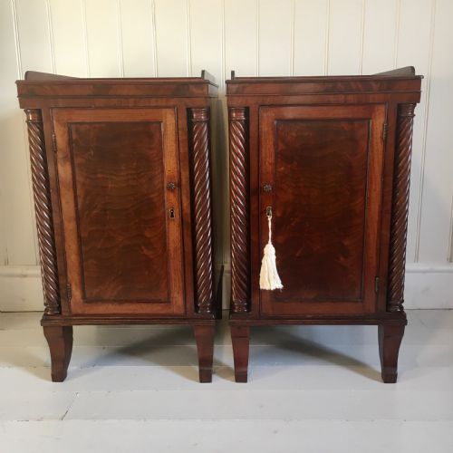19TH CENTURY MAHOGANY BEDSIDE CUPBOARDS - ADDITIONAL PHOTO 2