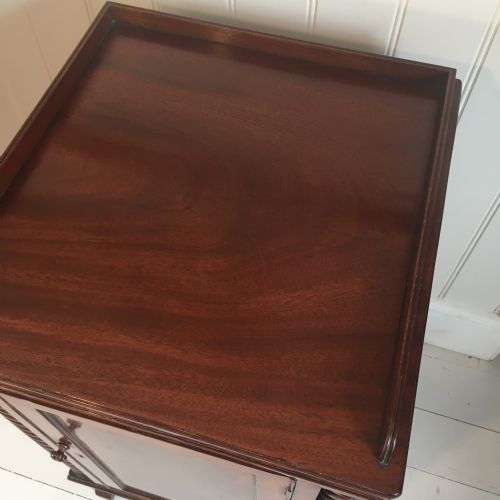 19TH CENTURY MAHOGANY BEDSIDE CUPBOARDS - ADDITIONAL PHOTO 7