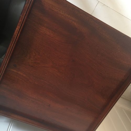 19TH CENTURY MAHOGANY BEDSIDE CUPBOARDS - ADDITIONAL PHOTO 8